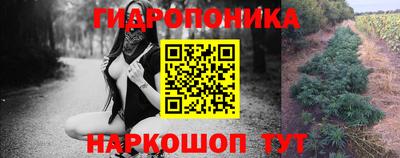 эйфоретик Будённовск